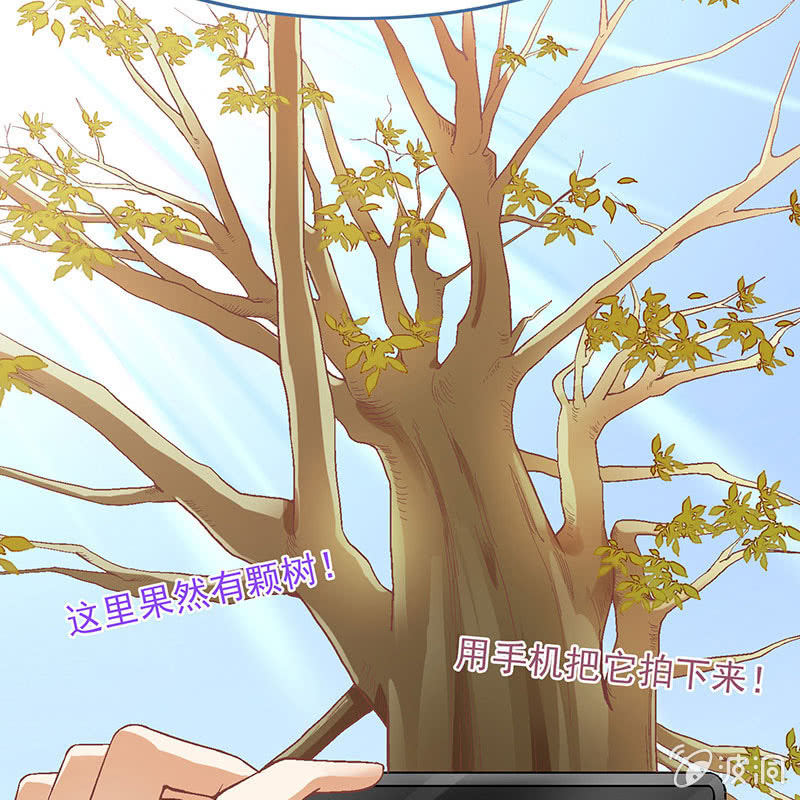 第八十一回 第 27 页