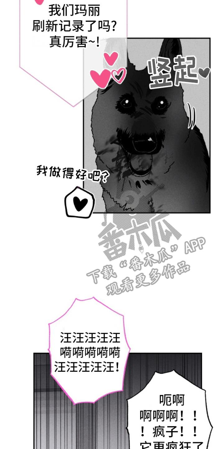 第29话 逃出 第 16 页