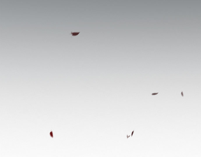 第17话 你和我真正的关系 第 152 页