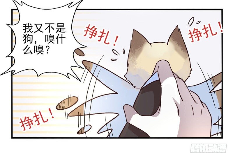 第47话：愿望面具（番外） 第 13 页