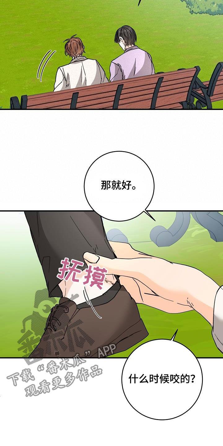 第112话 一起养狗 第 11 页