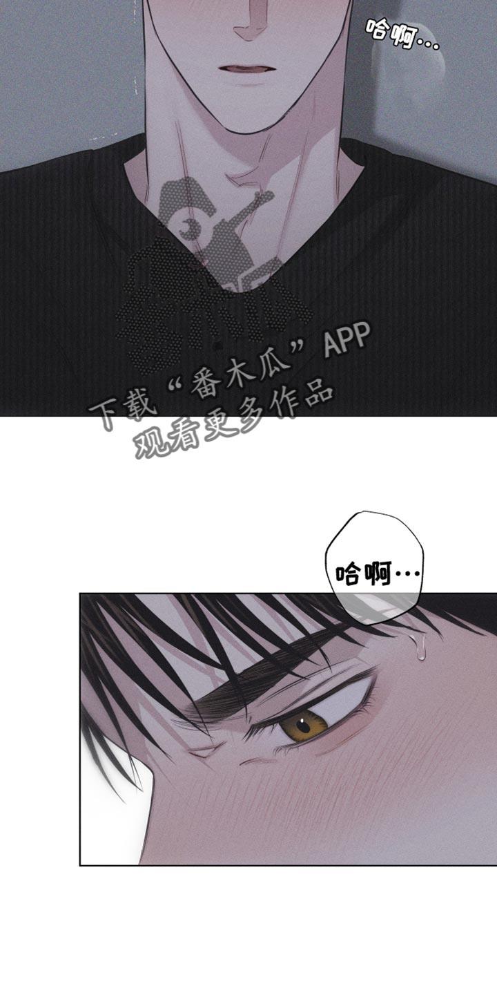 第22话 您为什么喜欢我？ 第 3 页
