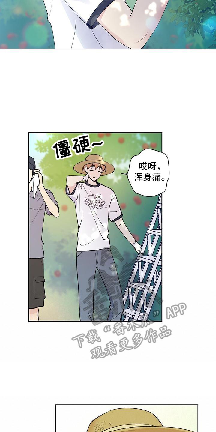 第14话 摘苹果 第 11 页