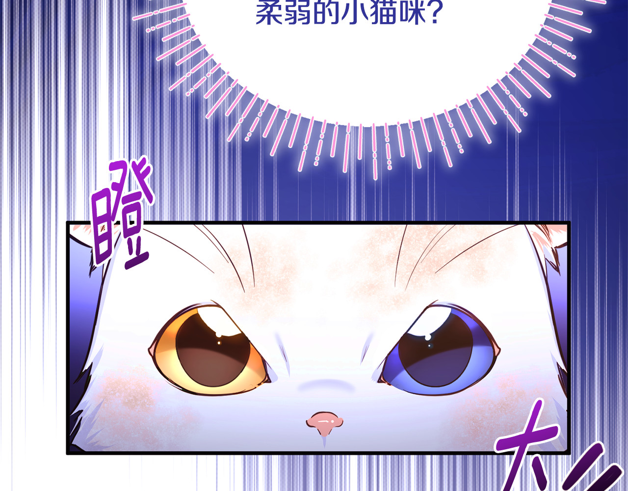 第1话 转世为猫？ 第 237 页