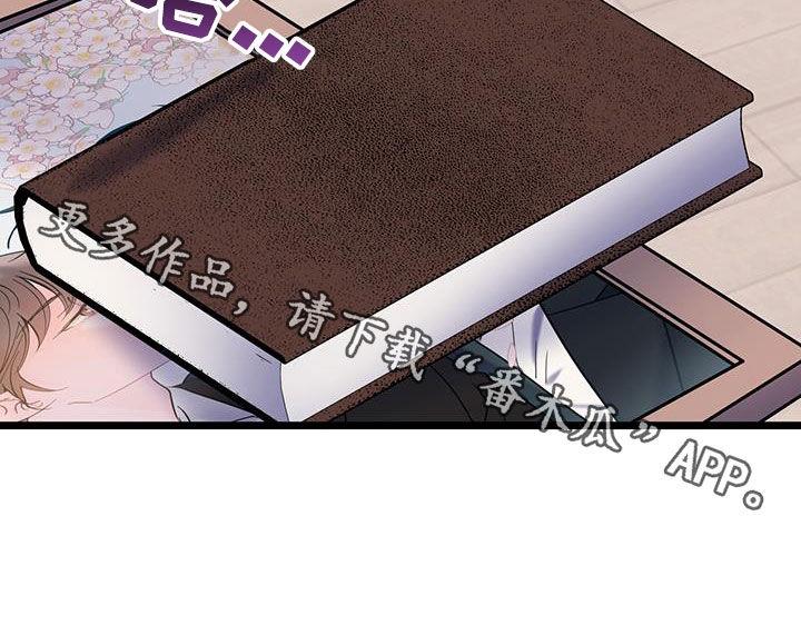 第127话 【第二季】相册 第 32 页
