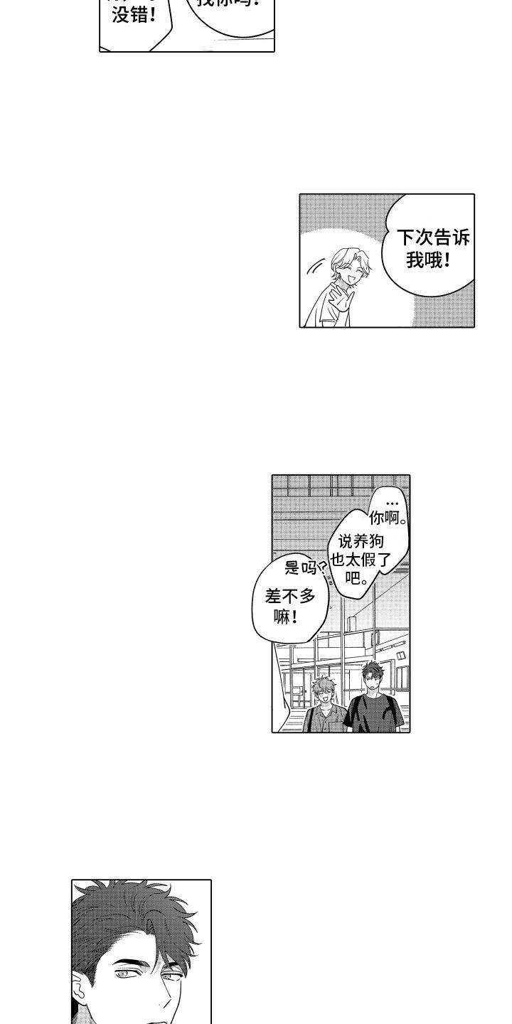 第28话 特别的小家伙 第 10 页
