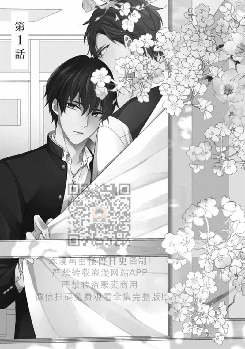 全 第 4 页