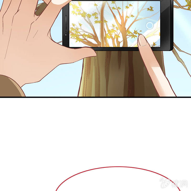 第八十一回 第 28 页