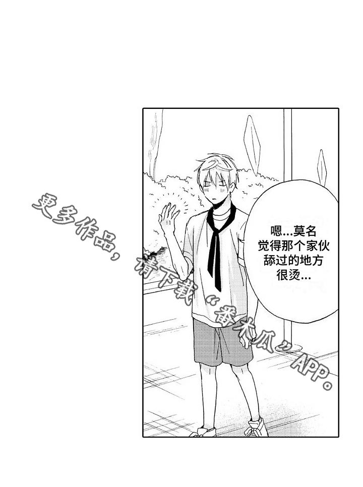 第17话 真心 第 17 页