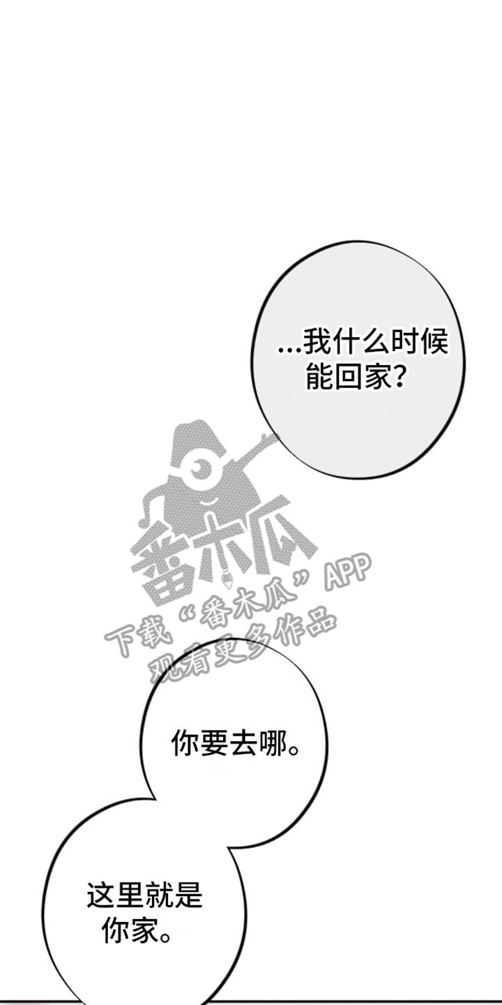 第15话 说爱我 第 13 页