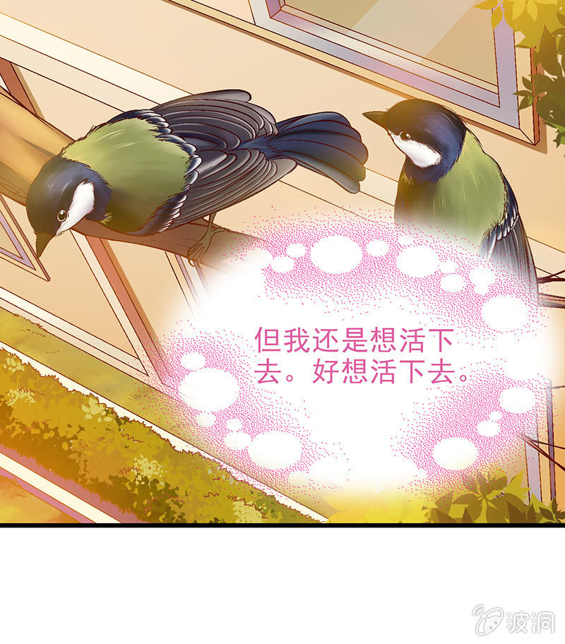 第十三回 第 8 页