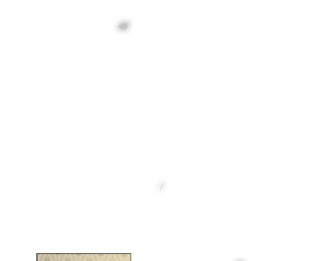 第77话 灰色格雷恩(1) 第 157 页