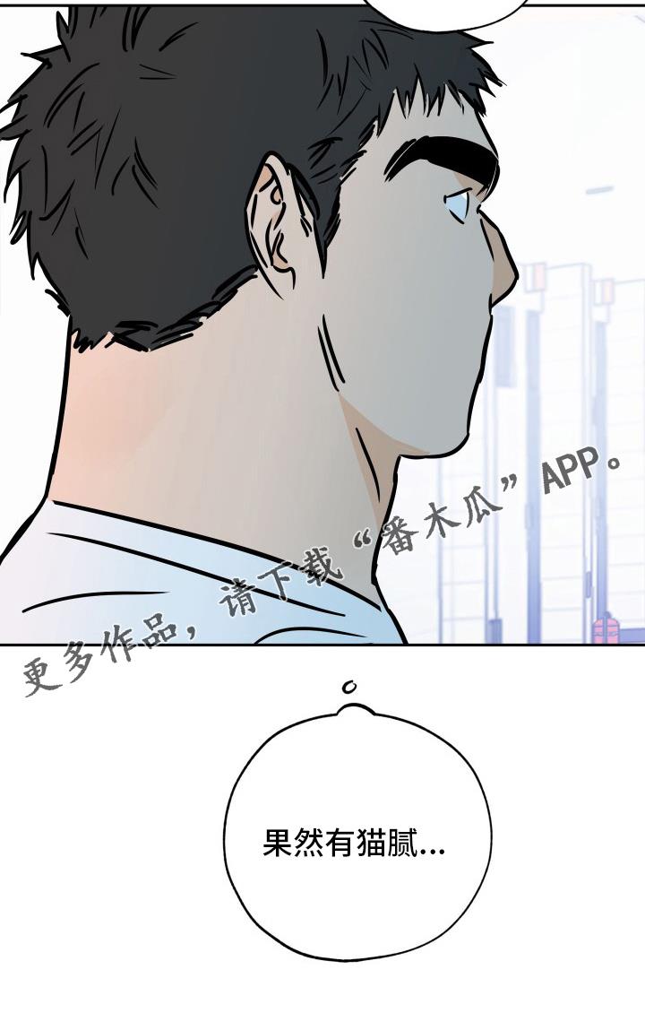 第130话 猫腻 第 27 页