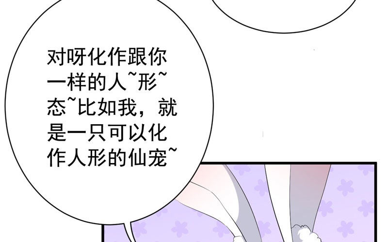 071仙宠 第 19 页