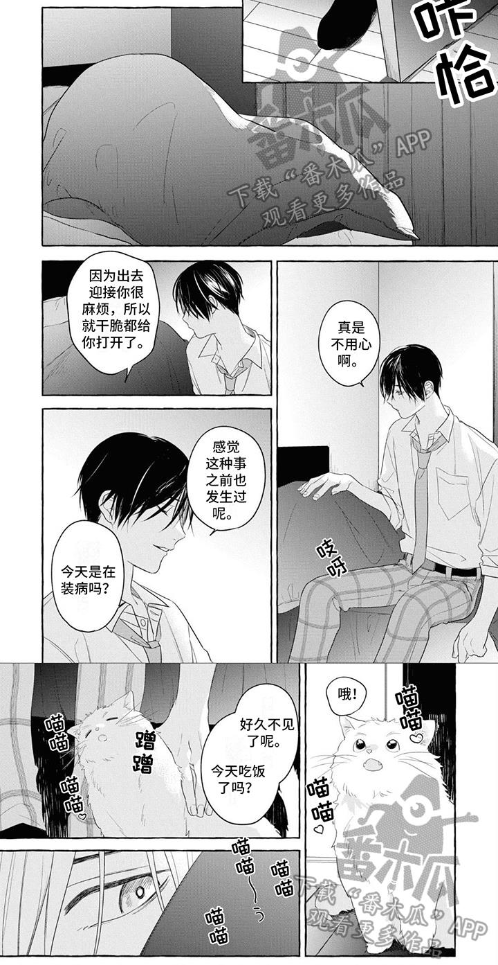 第15话 真正的恋爱 第 6 页