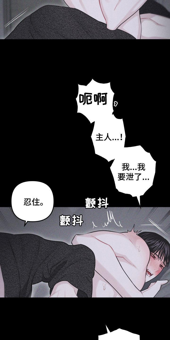 第56话 【第二季】怎么会说人话 第 33 页