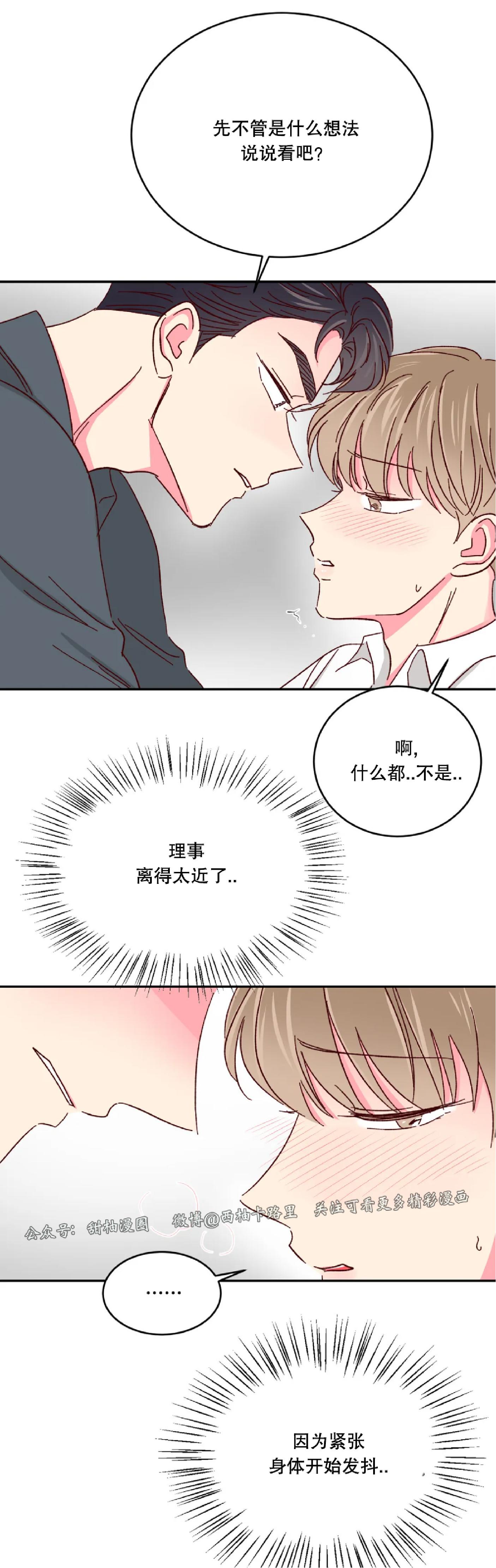 第41话 第 6 页