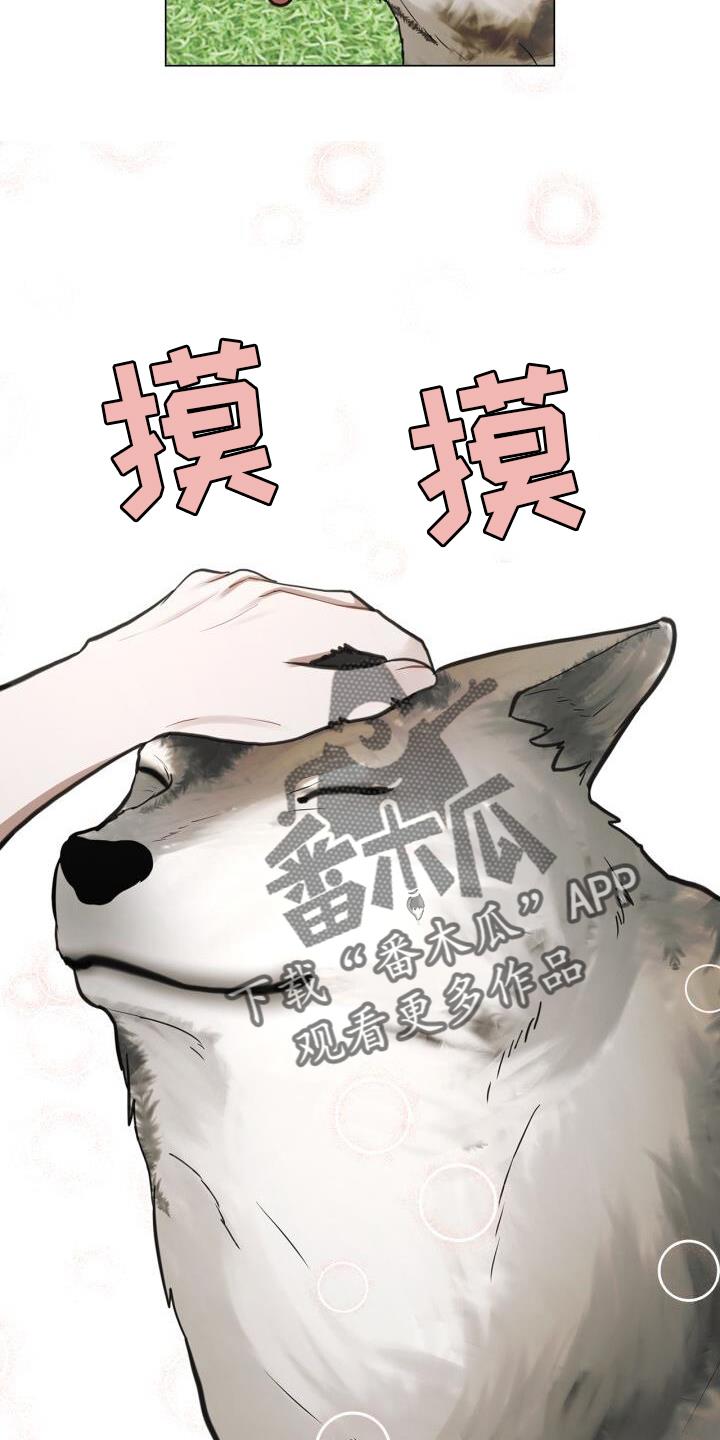 第67话 接触 第 20 页