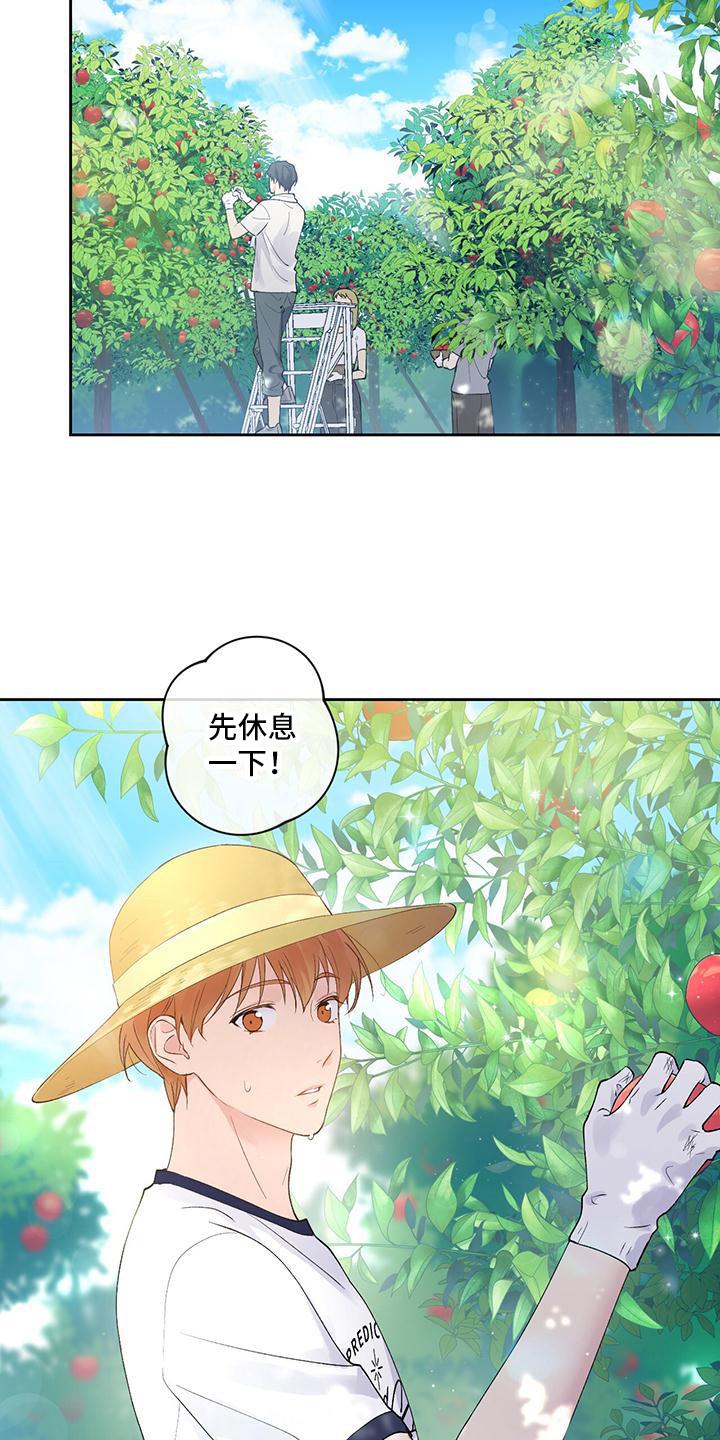 第14话 摘苹果 第 10 页