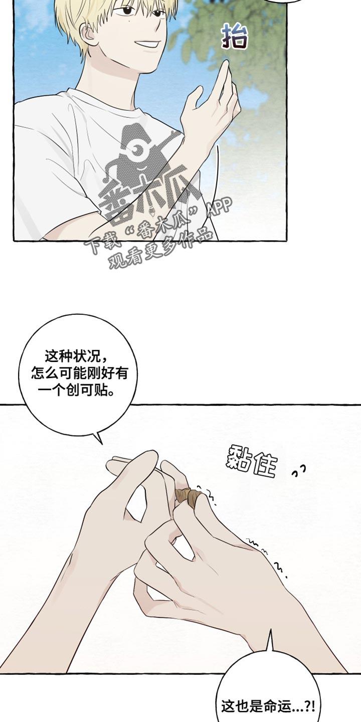 第39话 命运 第 15 页