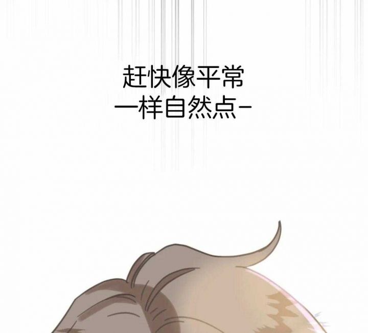 第203话 第203话 第 30 页