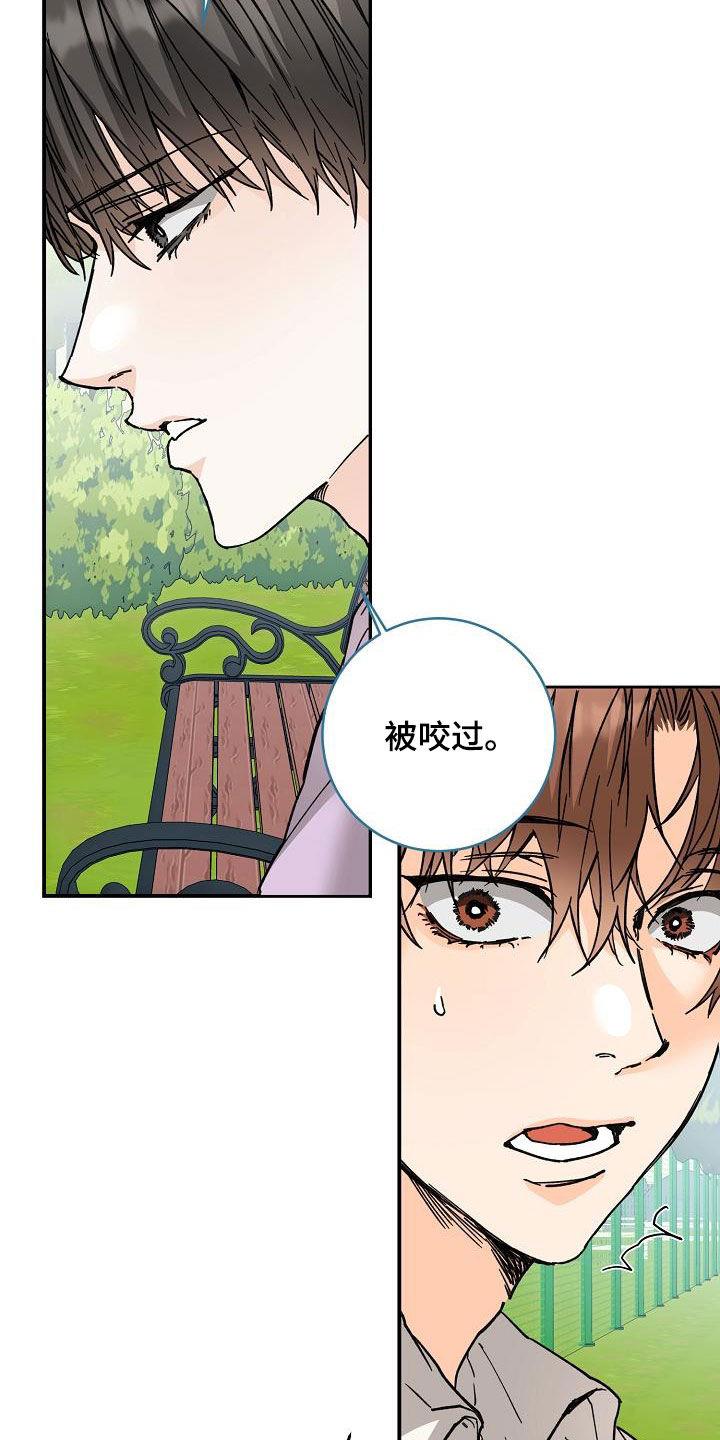 第112话 一起养狗 第 3 页