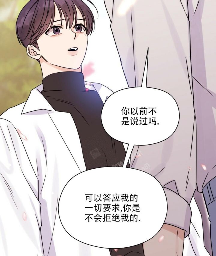 第47话 再次告白 第 41 页