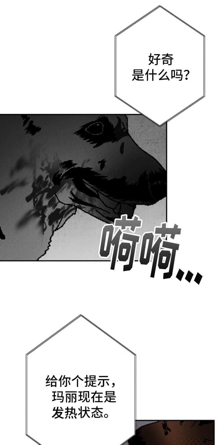 第21话 新游戏 第 17 页