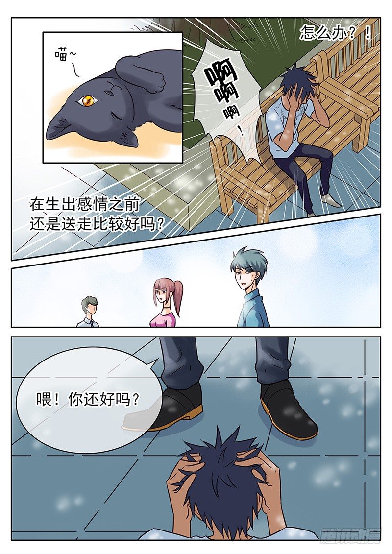 032 失去还是错过？ 第 3 页