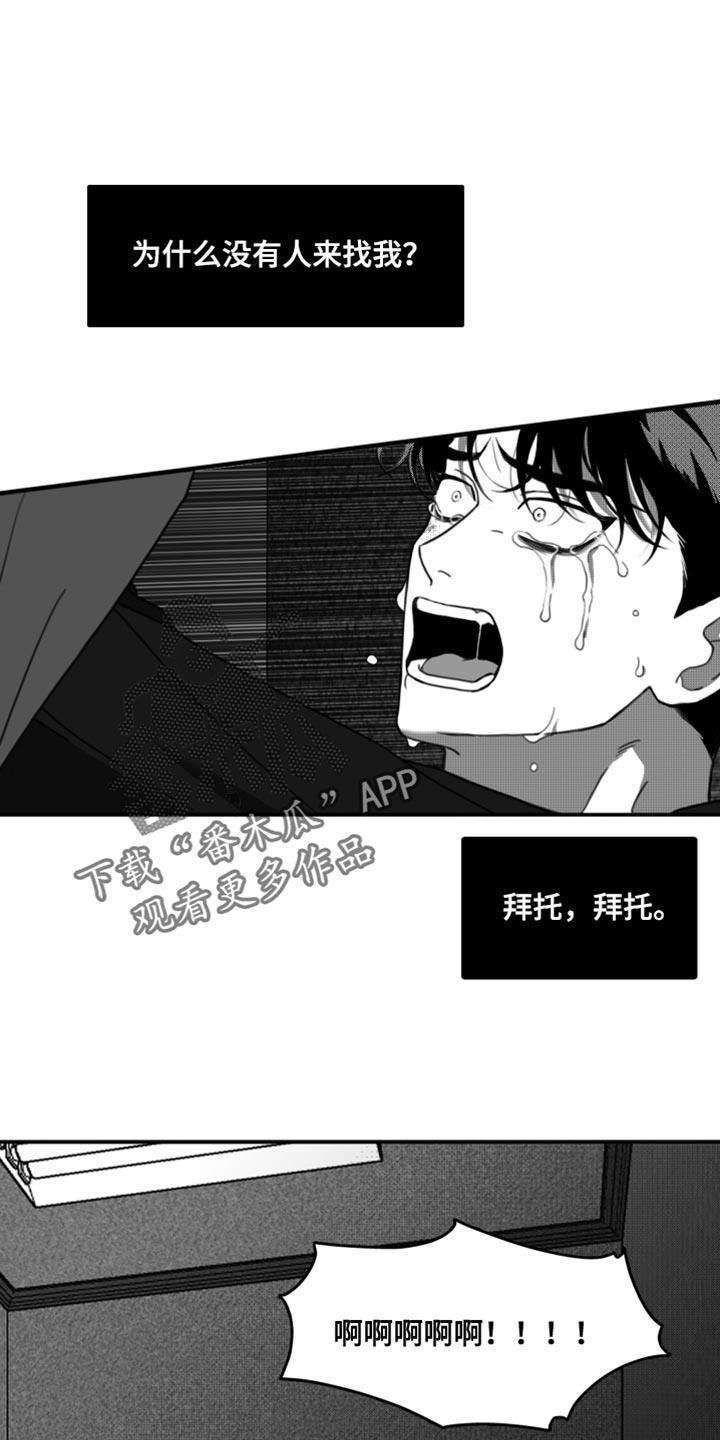 第42话 无可奉告 第 13 页