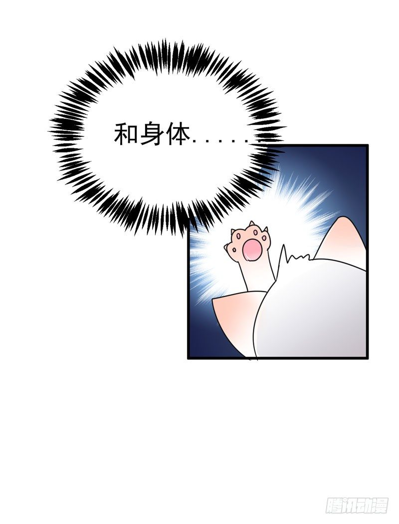 喵喵喵 第 25 页