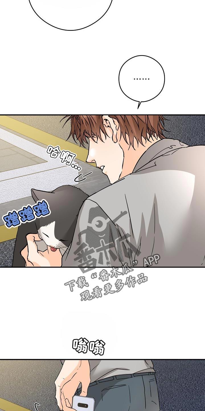 第96话 猫咪 第 19 页