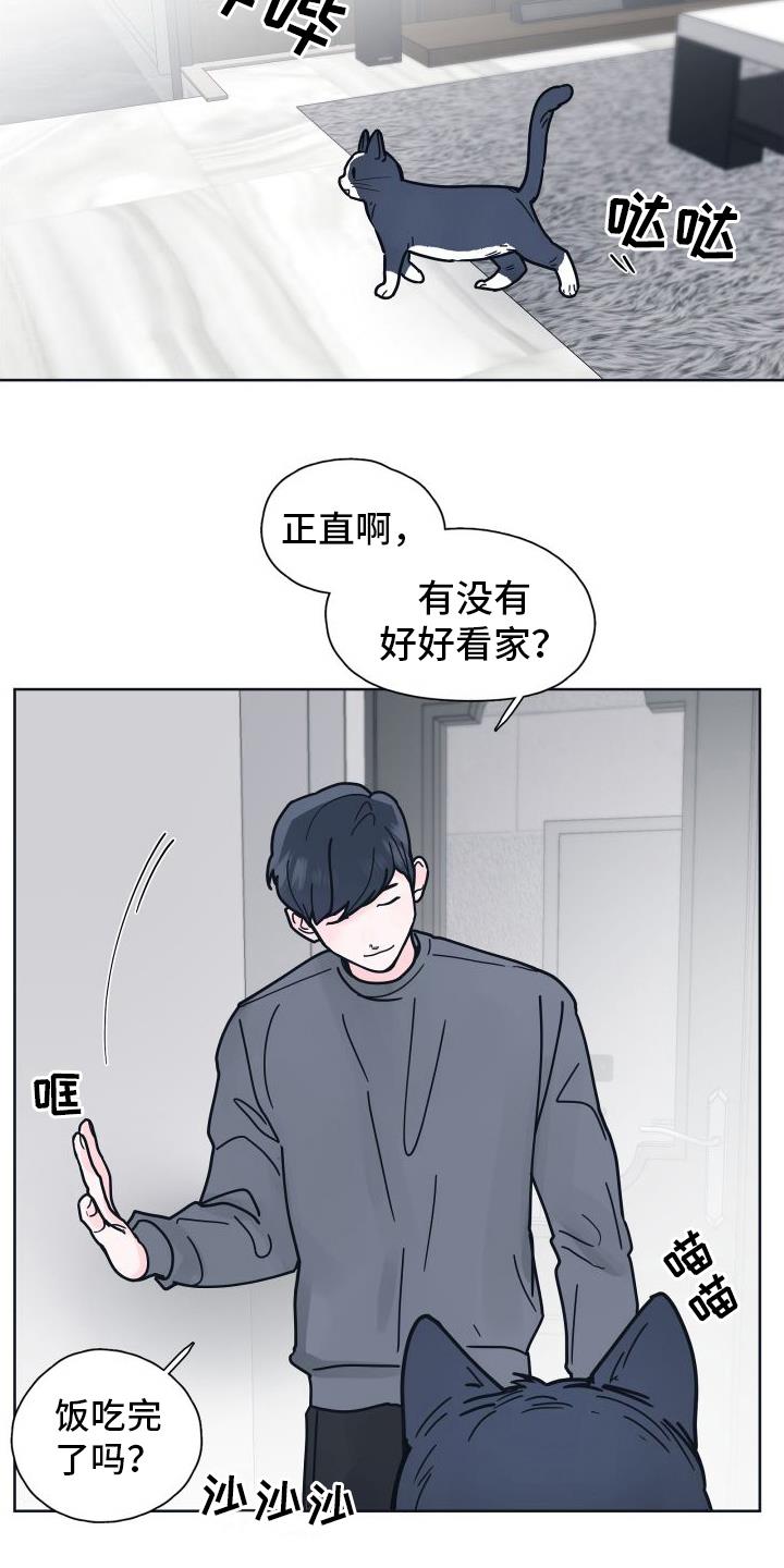 第9话 坠入爱河【完结】 第 15 页