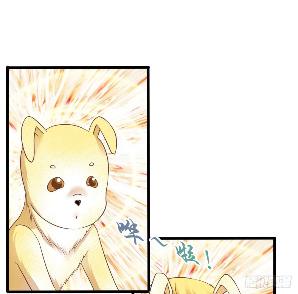 31、师尊重生 第 29 页