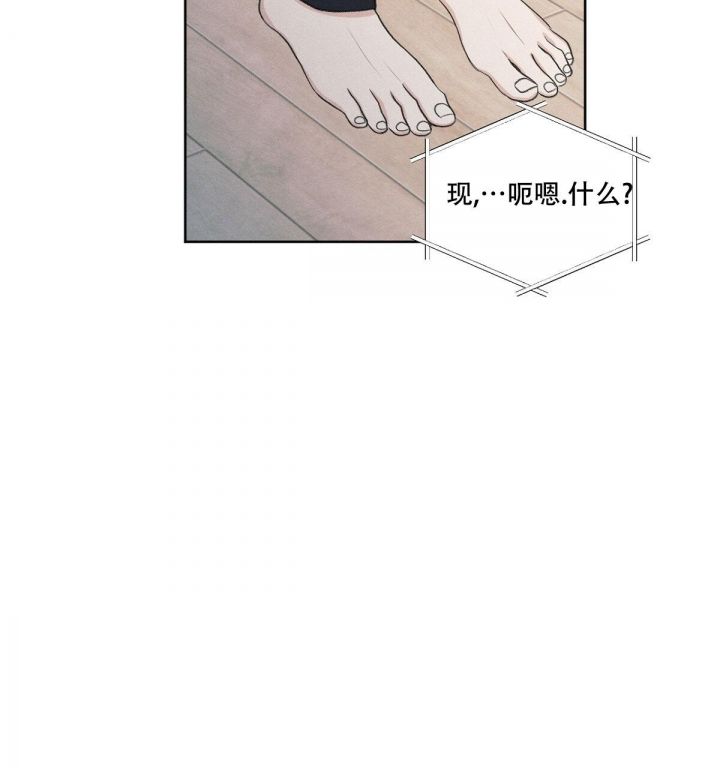 第16话 视频通话 第 51 页