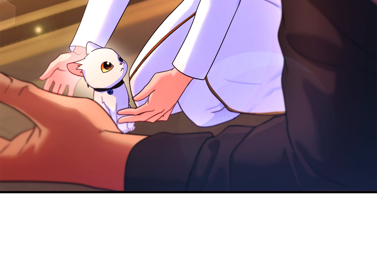 第3话 摇身一变成了预言猫 第 227 页