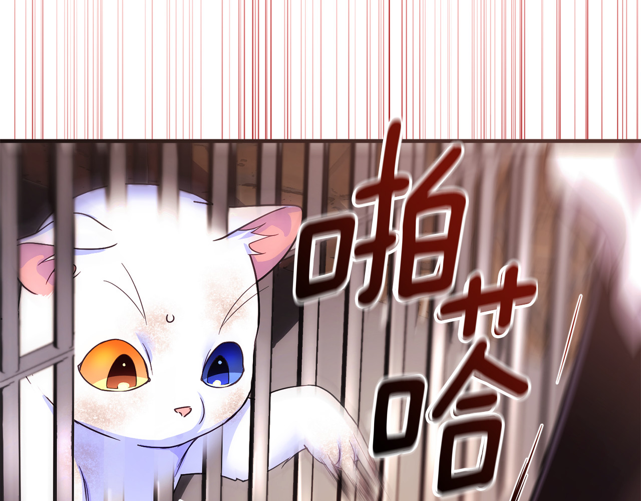 第2话 流浪 第 148 页