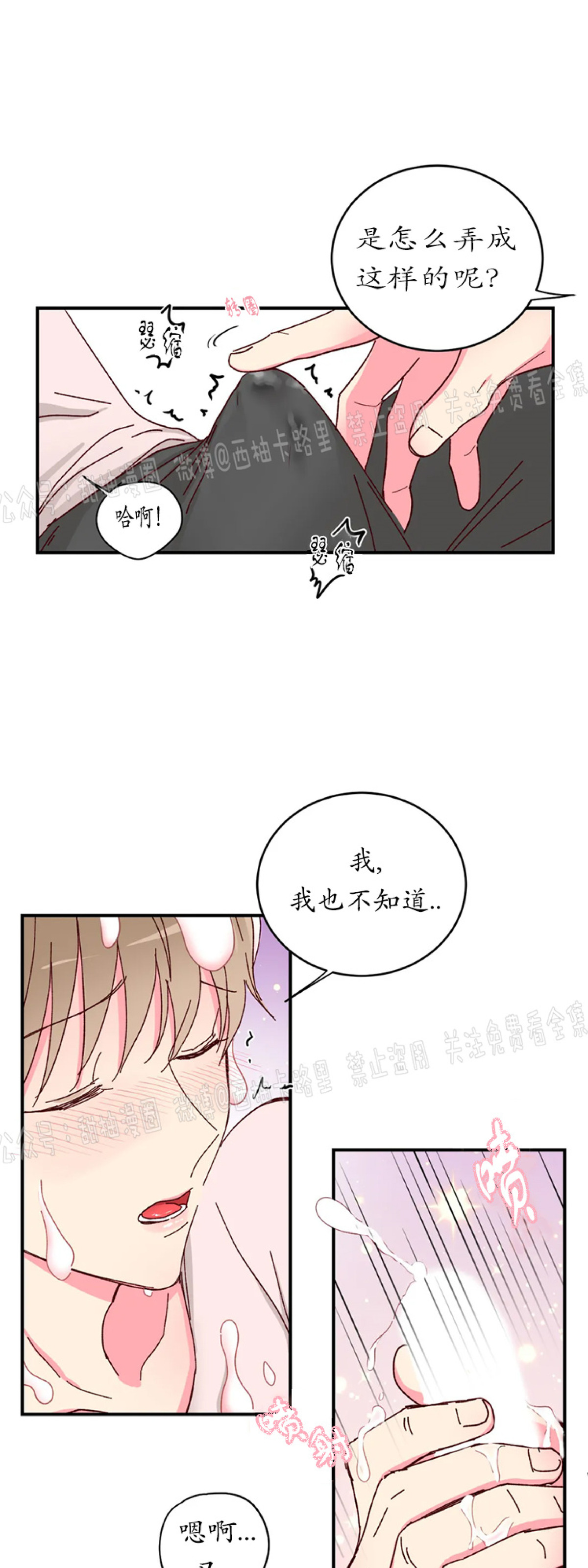 第12话 第 13 页