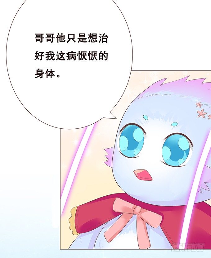 最长情的陪伴 第 11 页