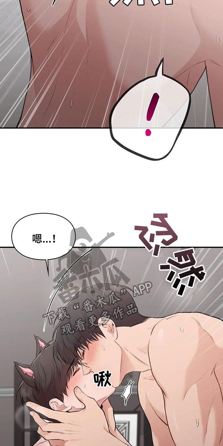 第53话 小猫咪 第 15 页