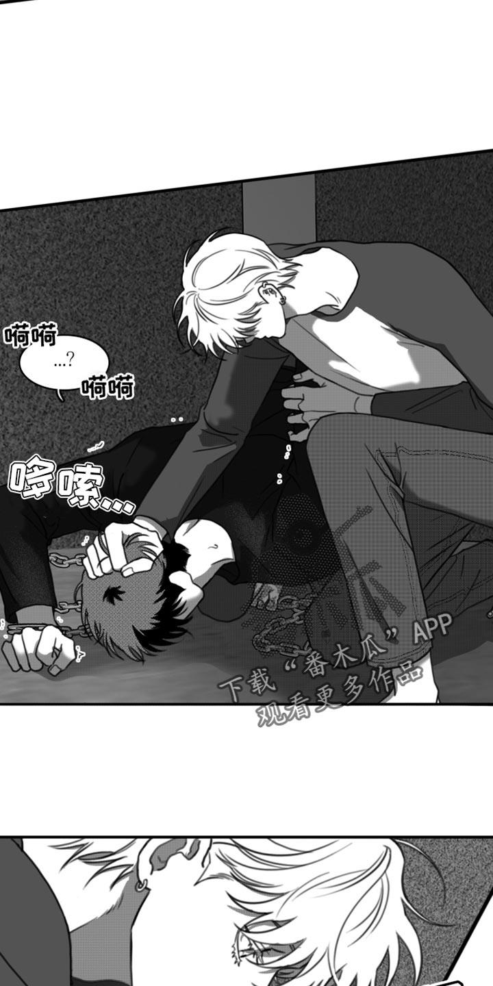 第42话 无可奉告 第 4 页