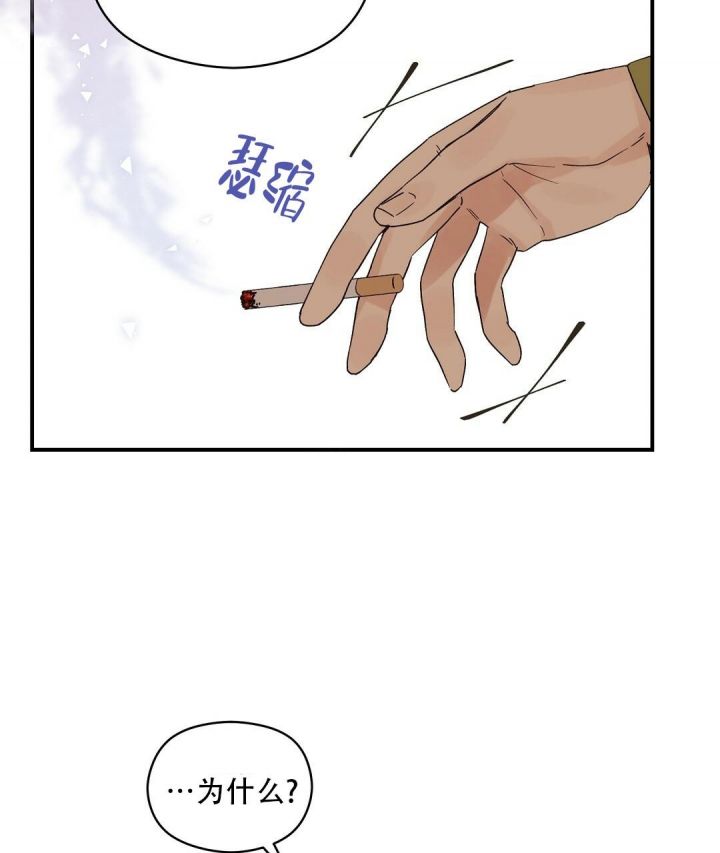第19话 很明显 第 41 页