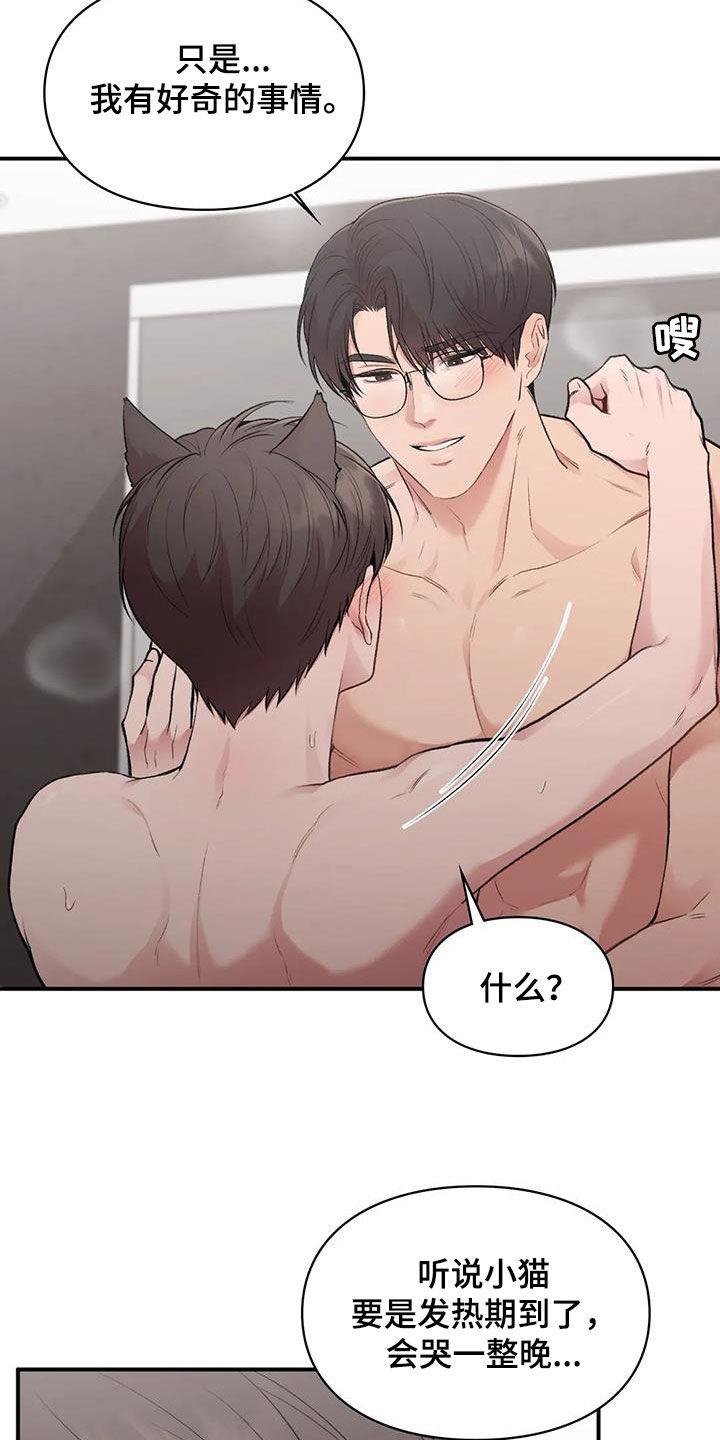 第53话 小猫咪 第 21 页