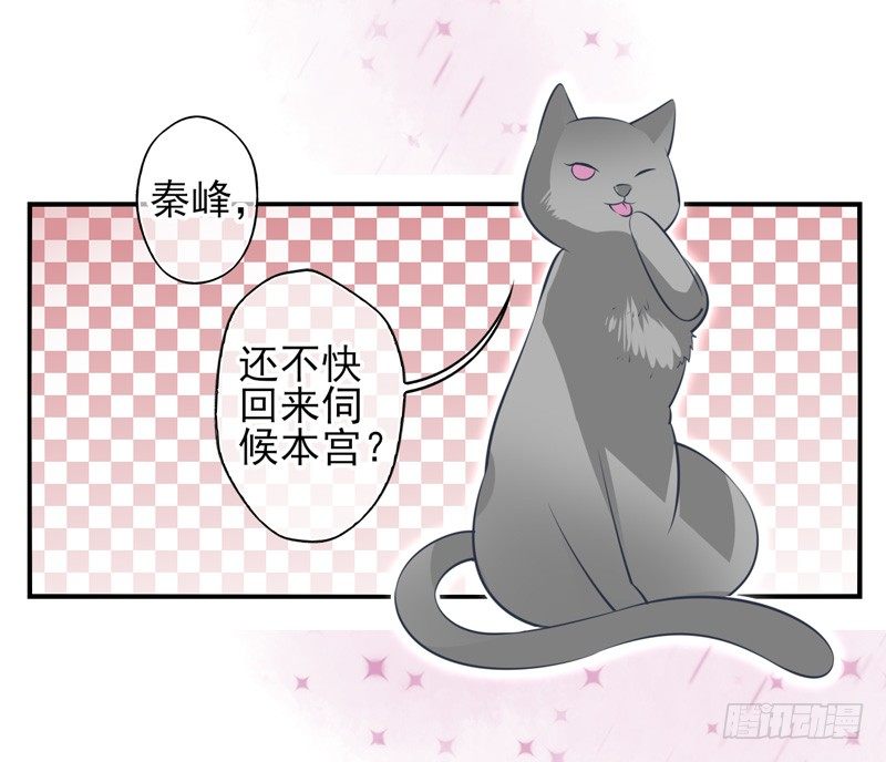 第58话：镜界面局05 第 8 页