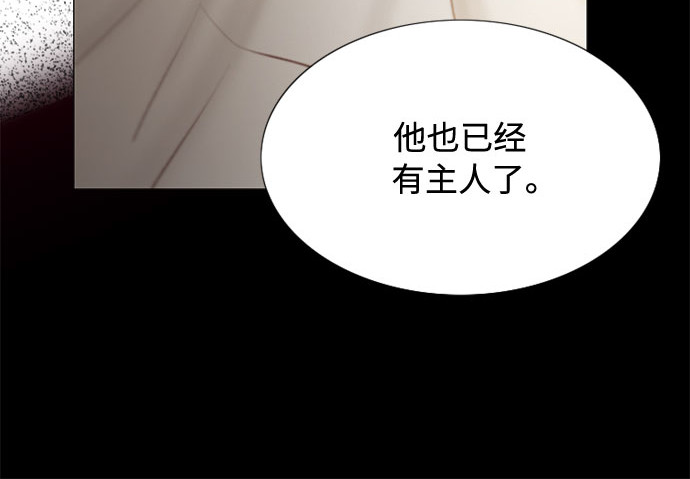 第1话 谢雷尼蒂的少女 第 221 页
