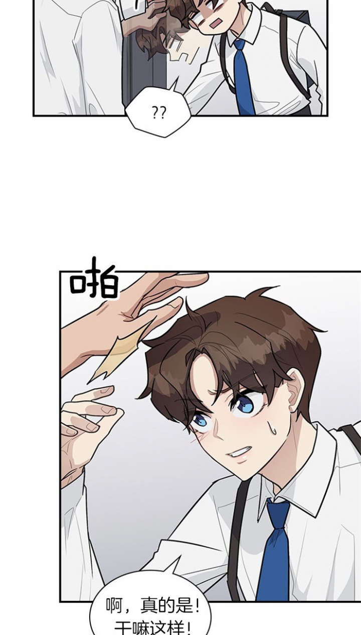 第31话 第31话 第 6 页