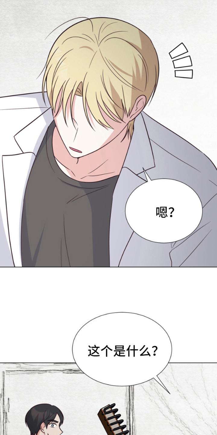 第4话 漫画 第 6 页