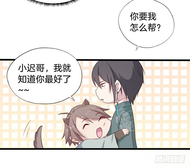 019白茕的愿望 第 11 页
