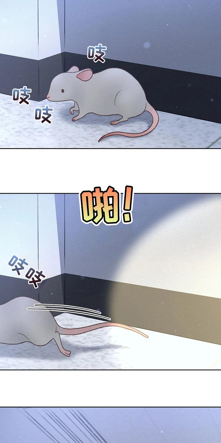 第51话 【第二季】我试试 第 15 页