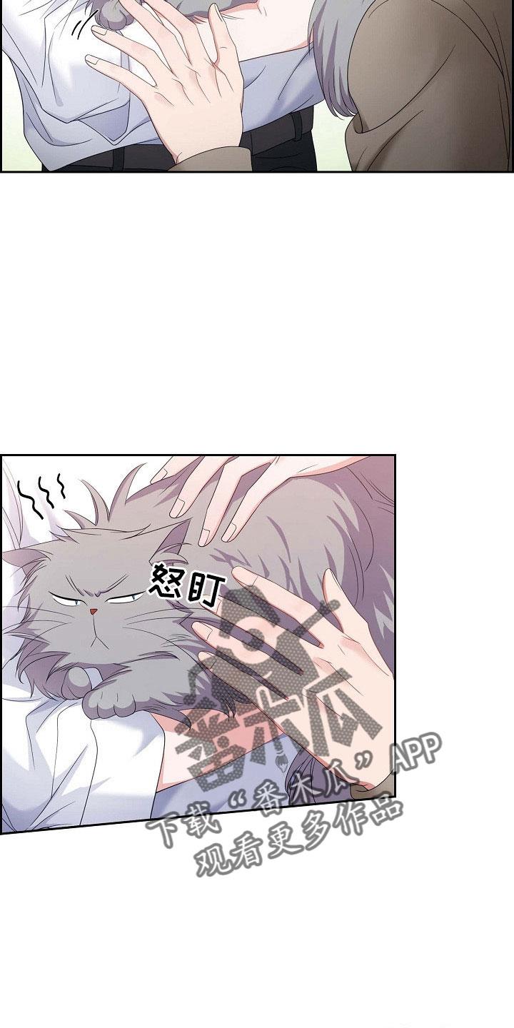 第63话 他的书 第 5 页